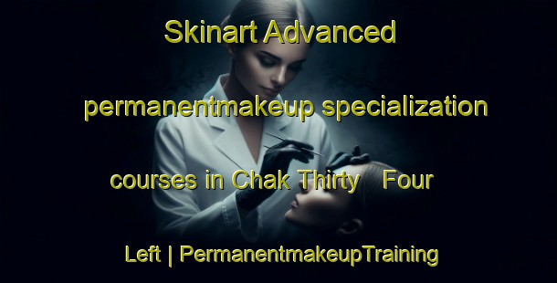 Skinart Advanced permanentmakeup specialization courses in Chak Thirty   Four Left | PermanentmakeupTraining | PermanentmakeupClasses | SkinartTraining-Pakistan